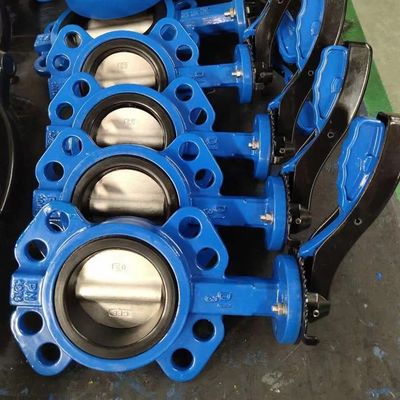 DN100 roestvrij staal vlinderklep voor alle doeleinden PTFE en vinyl met duurzame klem